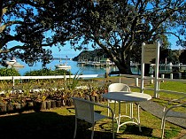 Hananui Lodge and Apartments - Featured Image