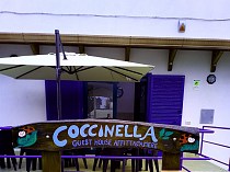 Coccinella - Featured Image