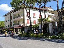 CAVALLINO BIANCO - Primary image