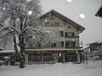 Hotel Brienzerburli - Primary image